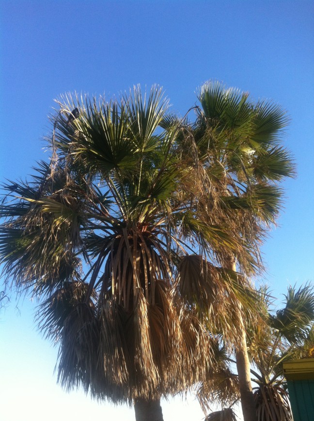 We've Arrived... In Texas!   